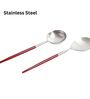 Radiant Maroon Red Handled Matt Finish Stainless Steel Serving Spoons Set of Two