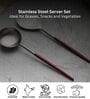 Radiant Maroon Red Handled Matt Finish Stainless Steel Serving Spoons Set of Two