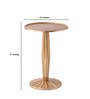 Radiant Metal End Table in Gold Colour