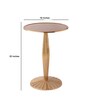Radiant Metal End Table in Gold Colour