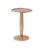 Radiant Metal End Table in Gold Colour