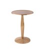 Radiant Metal End Table in Gold Colour