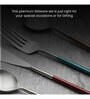 Radiant Multi-coloured Metallic Handles Matt Finish Stainless Steel Flatwareor Cutlery Set of Five