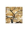 Radiant Tree of Gold Glass Finish Square Wall Art