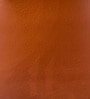 Raevello Strap Lounge Chair In Tan Brown Colour