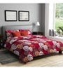 Relish Polyester 200TC Double Bedsheet with 2 Pillow Covers
