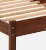 Rai Solid Wood Single Bed in Wenge Finish