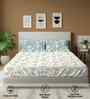 Raina Blue Floral 144 Tc Cotton Double Bedsheet With 2 Pillow Covers