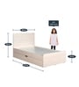 Raina Kids Double Bed with Pull Out Trundle in Oak Finish