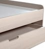 Raina Kids Double Bed with Pull Out Trundle in Oak Finish