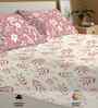 Raina Mauve Floral 144 Tc Cotton King Bedsheet With 2 Pillow Covers