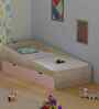 Ramp Up Single Bed in Oak and Pink Finish