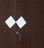 Ranchi 2 Door Wardrobe in Brown Maple Finish