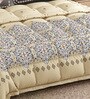 Brown Rangriti King Size Bedding Set with 180TC Bedsheet With Comforter & 2pc Pillow Covers