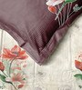 Cream Rangriti King Size Bedding Set with 180TC Bedsheet With Comforter & 2pc Pillow Covers