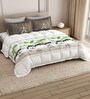 White Rangriti King Size Bedding Set with 180TC Bedsheet With Comforter & 2pc Pillow Covers