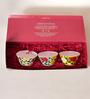 Rani Bagh Bowls Gift Set