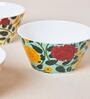 Rani Bagh Bowls Gift Set