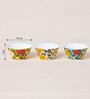 Rani Bagh Bowls Gift Set