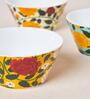 Rani Bagh Bowls Gift Set