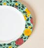Rani Bagh Dinner Plate, 10"dia