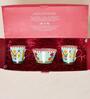 Rani Bagh Tea Trio Gift Set