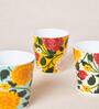 Rani Bagh Tumblers Gift Set