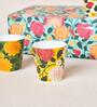 Rani Bagh Tumblers Gift Set