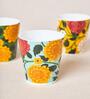 Rani Bagh Tumblers Gift Set