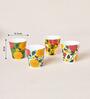Rani Bagh Tumblers Gift Set