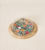Rani Bagh Wooden Cake Cloche, 8"dia