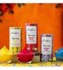 Rasrang  Organic Holi Colours (Pack of 5, 100gm)