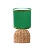 Rattan Metal Table Lamp With Fabric Shade (Green & Beige)
