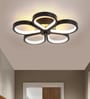Orchid Black Metal LED Ceiling Lights