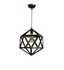 Larry Raven Black Metal Hanging Light