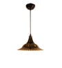Raven Black Metal Hanging Light