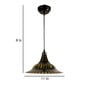 Raven Black Metal Hanging Light