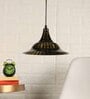 Raven Black Metal Hanging Light
