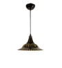 Raven Black Metal Hanging Light