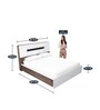 Ray Queen Size Bed with Hydraulic Storage in Swiss White Colour