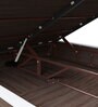 Ray Queen Size Bed with Hydraulic Storage in Swiss White Colour