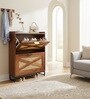 Raya  Walnut Colour Shoe Cabinet  Rattan And  Wood Storage Organizer