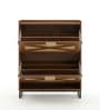 Raya  Walnut Colour Shoe Cabinet  Rattan And  Wood Storage Organizer