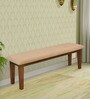 Rays Bench in Natural Colour