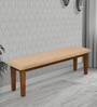 Rays Bench in Natural Colour