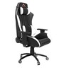 Razer Gaming Chair In White & Black Colour