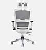 Razor Breathable Mesh Ergonomic Chair in White & Grey Colour