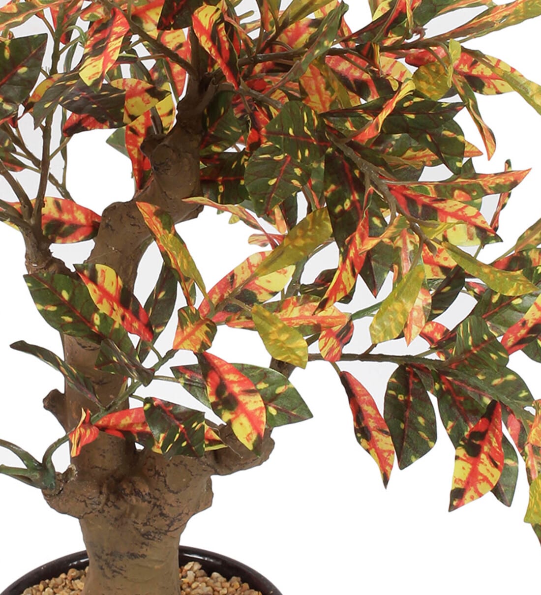 Buy Red Artificial Red Croton Bonsai Plant with Pot at 40% OFF by Casacraft  from Pepperfry | Pepperfry