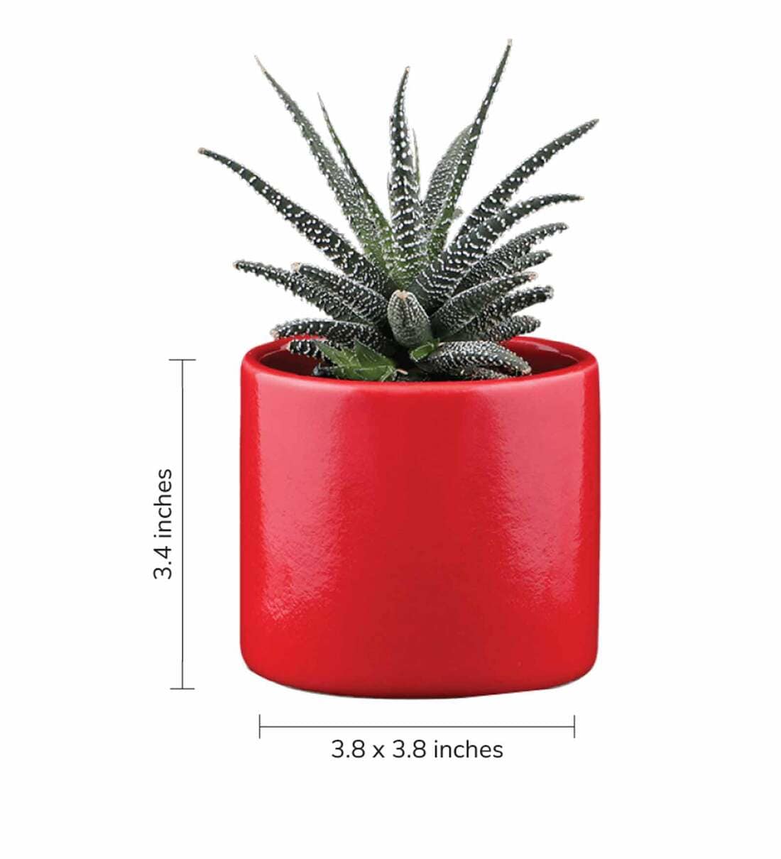 Buy Red Ceramic Pipe Shape Desk Pot Planter by Ugaoo Online Desk Pots