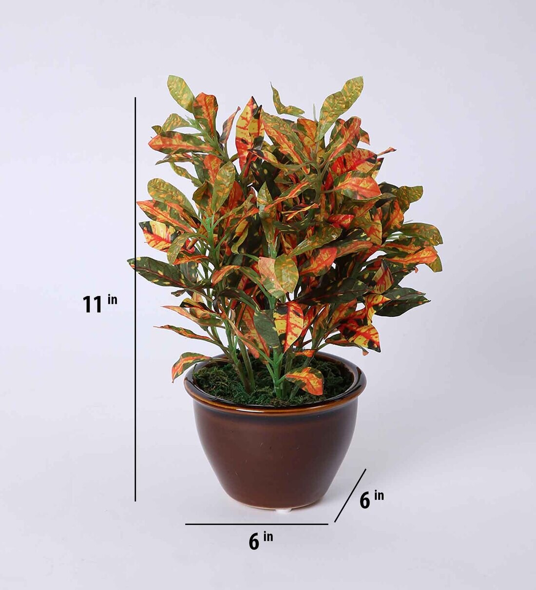 Buy Red Plastic Artificial Croton Bonsai Plant With Ceramic Pot at 44% OFF  by Fourwalls | Pepperfry